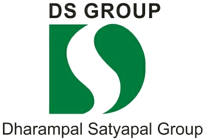 DS_Group_logo.png